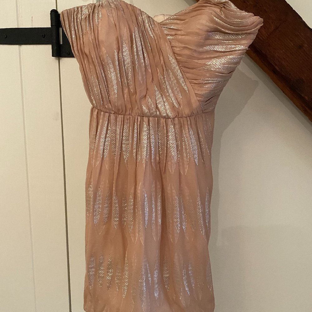 Twelfth Street by Cynthia Vincent Pink Strapless Mini Dress Size 2